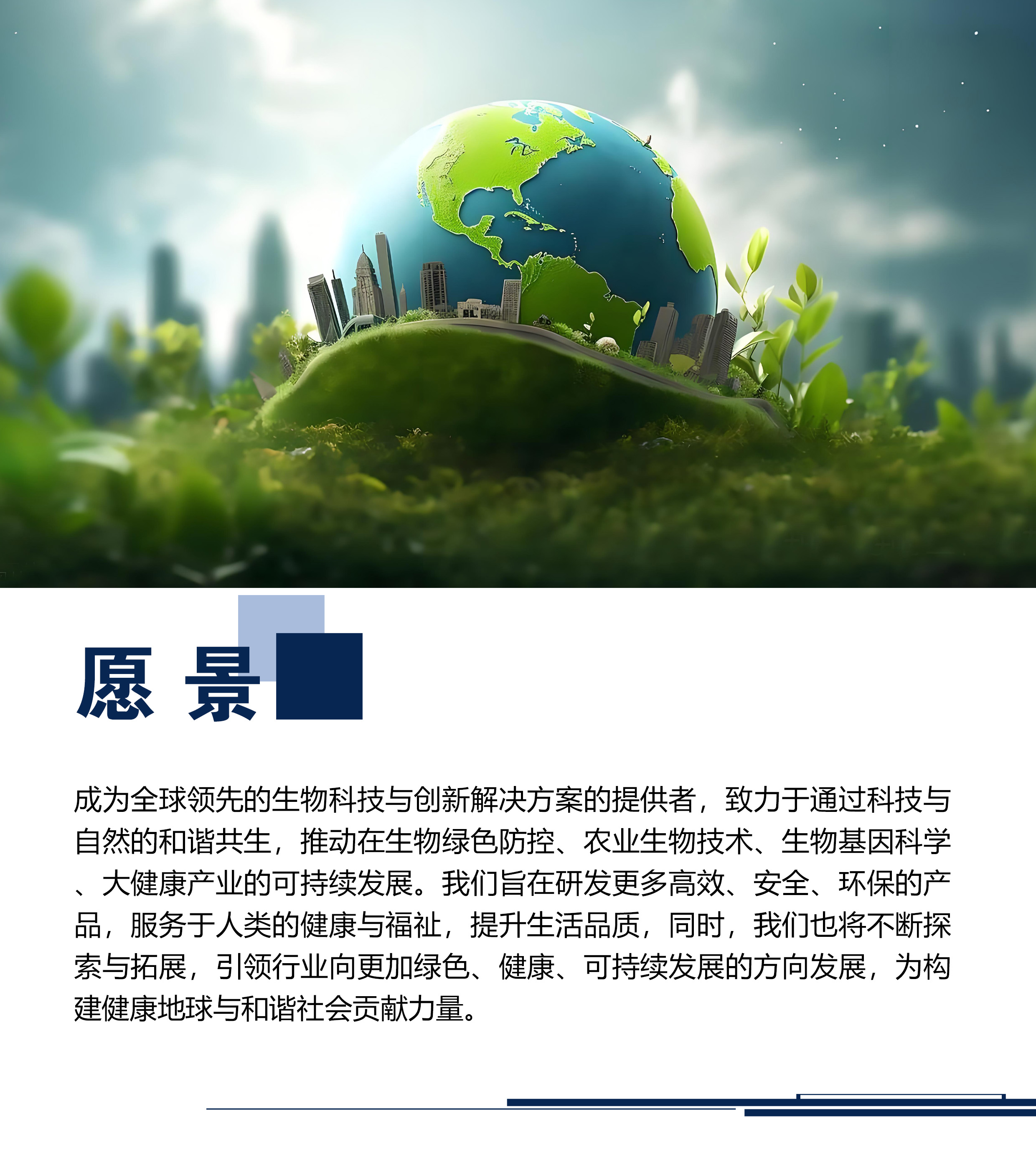 愿景
